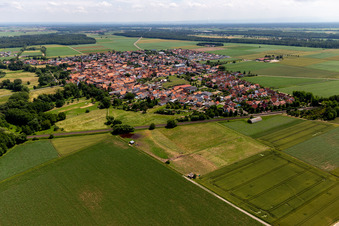 Drohnenbild von Steinweiler im Bundesland Rheinland-Pfalz, Deutschland