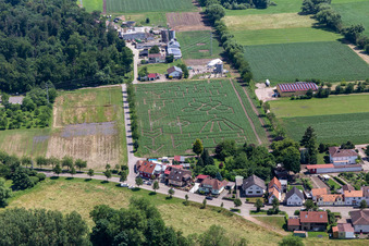 Maislabyrinth & Beachlounge Steinweiler Seehof im Bundesland Rheinland-Pfalz, Deutschland