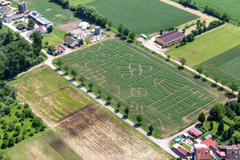 Luftbild von Maislabyrinth & Beachlounge Steinweiler Seehof im Bundesland Rheinland-Pfalz, Deutschland
