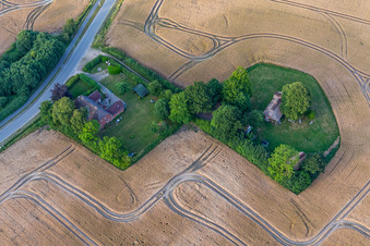 Ortsteil Dollerupholz in Westerholz im Bundesland Schleswig-Holstein, Deutschland