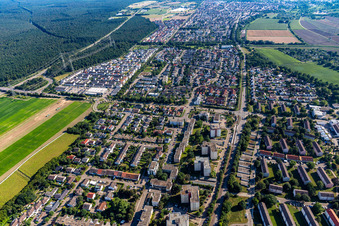 Ortsteil Leopoldshafen in Eggenstein-Leopoldshafen im Bundesland Baden-Württemberg, Deutschland von oben