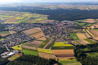 Luftbild von Rheinzabern im Bundesland Rheinland-Pfalz, Deutschland