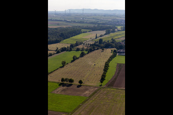 Flutgraben, Erlenbach. Buschurgraben in Steinweiler im Bundesland Rheinland-Pfalz, Deutschland