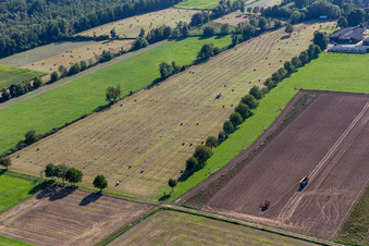 Luftbild von Flutgraben, Erlenbach. Buschurgraben in Steinweiler im Bundesland Rheinland-Pfalz, Deutschland