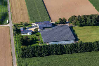 Luftbild von Steinweiler im Bundesland Rheinland-Pfalz, Deutschland