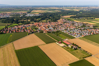 Luftbild von Ortsansicht am Rande von landwirtschaftlichen Feldern und Nutzflächen in Steinweiler im Bundesland Rheinland-Pfalz, Deutschland