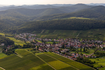 Ortsteil Pleisweiler in Pleisweiler-Oberhofen im Bundesland Rheinland-Pfalz, Deutschland vom Flugzeug aus