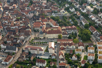 Luftbild von Schloss Bad Bergzabern im Bundesland Rheinland-Pfalz, Deutschland