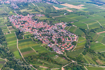 Ortsteil Arzheim in Landau in der Pfalz im Bundesland Rheinland-Pfalz, Deutschland von oben gesehen