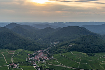 Luftbild von Felder einer Weinbergs- und Rebstocks- Landschaft der Winzer- Gebiete in Leinsweiler im Bundesland Rheinland-Pfalz, Deutschland