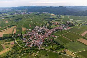 Göcklingen im Bundesland Rheinland-Pfalz, Deutschland von oben