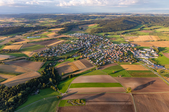 Ortsansicht am Rande von landwirtschaftlichen Feldern und Nutzflächen in Dietingen im Bundesland Baden-Württemberg, Deutschland