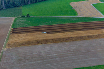 Bösingen/Kasperleshof