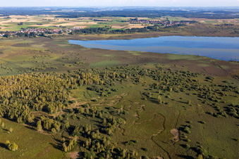 Uferbereiche am Seegebiet des Federsee in Bad Buchau im Bundesland Baden-Württemberg, Deutschland