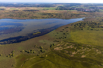 Federsee in Bad Buchau im Bundesland Baden-Württemberg, Deutschland