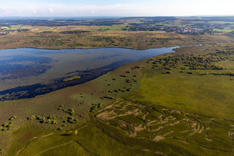 Luftaufnahme von Uferbereiche am Seegebiet des Federsee in Bad Buchau im Bundesland Baden-Württemberg, Deutschland