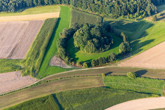 Waldinsel im Ortsteil Heudorf in Scheer im Bundesland Baden-Württemberg, Deutschland