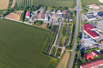 Baumschule Karl Schlegel oHG im Ortsteil Eichenau in Riedlingen im Bundesland Baden-Württemberg, Deutschland