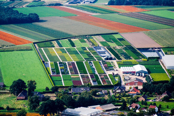 Hasselt an der Maas (NL) im Bundesland Limburg, Niederlande