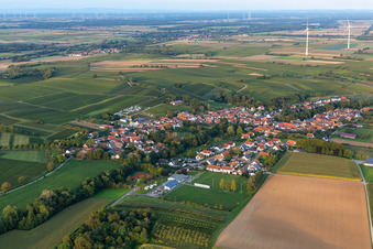 Dierbach im Bundesland Rheinland-Pfalz, Deutschland von oben