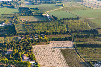 Luftbild von Windgeschützte Plantagen im Ortsteil Zone Nord-Est Urbaine in Tarascon im Bundesland Bouches-du-Rhône, Frankreich