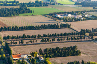Baumreihen als Windschutz vor dem Mistral am Feldrand in Saint-Etienne-du-Gres in Provence-Alpes-Cote d'Azur in Saint-Étienne-du-Grès im Bundesland Bouches-du-Rhône, Frankreich