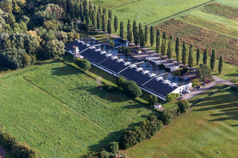 Cactus Druck & Verlags-GmbH im Ortsteil Schaidt in Wörth am Rhein im Bundesland Rheinland-Pfalz, Deutschland