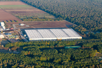 Continental Reifen Gmbh in Bellheim im Bundesland Rheinland-Pfalz, Deutschland
