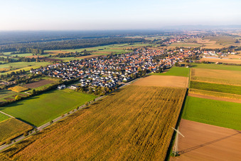 Minfeld im Bundesland Rheinland-Pfalz, Deutschland aus der Drohnenperspektive