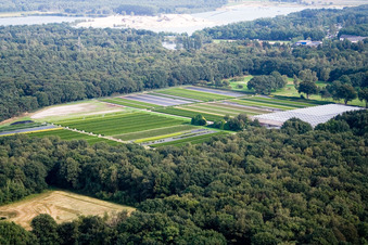 Drohnenbild von De Hamert im Bundesland Limburg, Niederlande