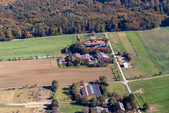 Erlebnishof Karlsbad,  Beckers Steinighoflädle Bauernladen im Ortsteil Langensteinbach im Bundesland Baden-Württemberg, Deutschland