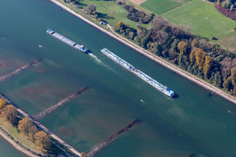 Rhein im Ortsteil Daxlanden in Karlsruhe im Bundesland Baden-Württemberg, Deutschland