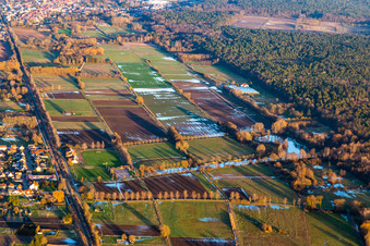 Schwanenweiher bei Steinfeld im Bundesland Rheinland-Pfalz, Deutschland