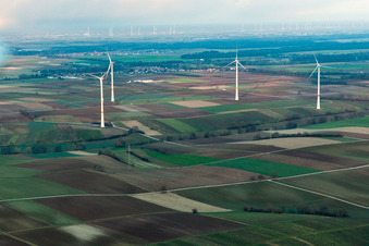 Luftaufnahme von Windpark in Freckenfeld im Bundesland Rheinland-Pfalz, Deutschland