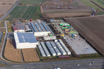 Gemüse Renner V+V in Mutterstadt im Bundesland Rheinland-Pfalz, Deutschland