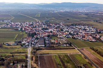 Ellerstadt