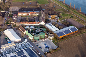 Hofgut Petersau im Ortsteil Mörsch in Frankenthal im Bundesland Rheinland-Pfalz, Deutschland