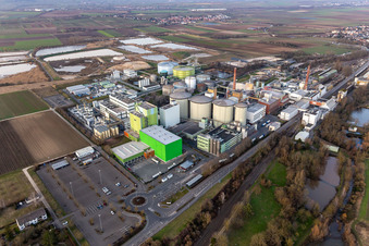 Südzucker AG in Obrigheim im Bundesland Rheinland-Pfalz, Deutschland aus der Luft betrachtet