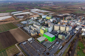 Drohnenbild von Südzucker AG in Obrigheim im Bundesland Rheinland-Pfalz, Deutschland