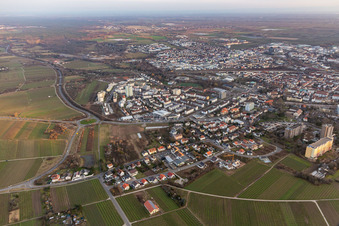 Neustadt an der Weinstraße im Bundesland Rheinland-Pfalz, Deutschland aus der Luft