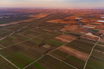 Mecke-INFO im Ortsteil Mußbach in Neustadt an der Weinstraße im Bundesland Rheinland-Pfalz, Deutschland