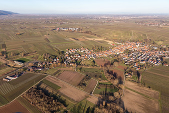 Göcklingen im Bundesland Rheinland-Pfalz, Deutschland aus der Luft