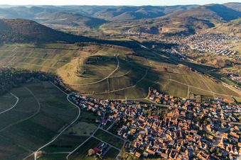 Keschdebusch in Birkweiler im Bundesland Rheinland-Pfalz, Deutschland