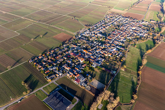 Ortsteil Duttweiler in Neustadt an der Weinstraße im Bundesland Rheinland-Pfalz, Deutschland aus der Luft