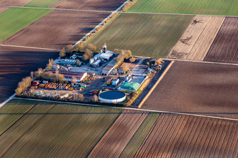 Gärtner - Dienstleistungen, Containerdienst, Entsorgung, Abbruch und Transporte in Bellheim im Bundesland Rheinland-Pfalz, Deutschland