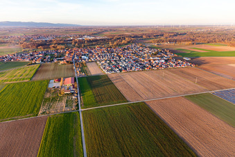 Ortsansicht aus Süden in Steinweiler im Bundesland Rheinland-Pfalz, Deutschland von oben gesehen