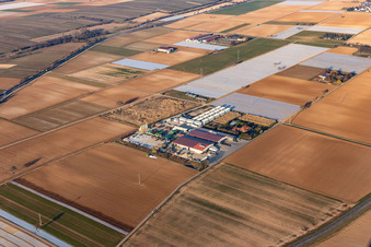 Hortulanushof, Stubenbordt GmbH & Co. KG / Dieter Stubenbordt Gemüseanbau in Zeiskam im Bundesland Rheinland-Pfalz, Deutschland