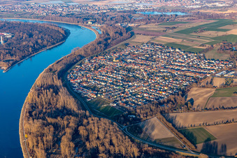 Luftbild von Ortsansicht am Rhein von Westen im Ortsteil Rheinhausen in Oberhausen-Rheinhausen im Bundesland Baden-Württemberg, Deutschland