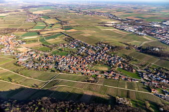 Winzerort aus Westen im Ortsteil Pleisweiler in Pleisweiler-Oberhofen im Bundesland Rheinland-Pfalz, Deutschland