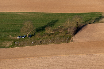 Der kleinste Weinberg des Elsaß in Niederlauterbach im Bundesland Bas-Rhin, Frankreich